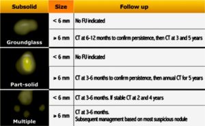 Fleischner Guidelines 2017 Lungs